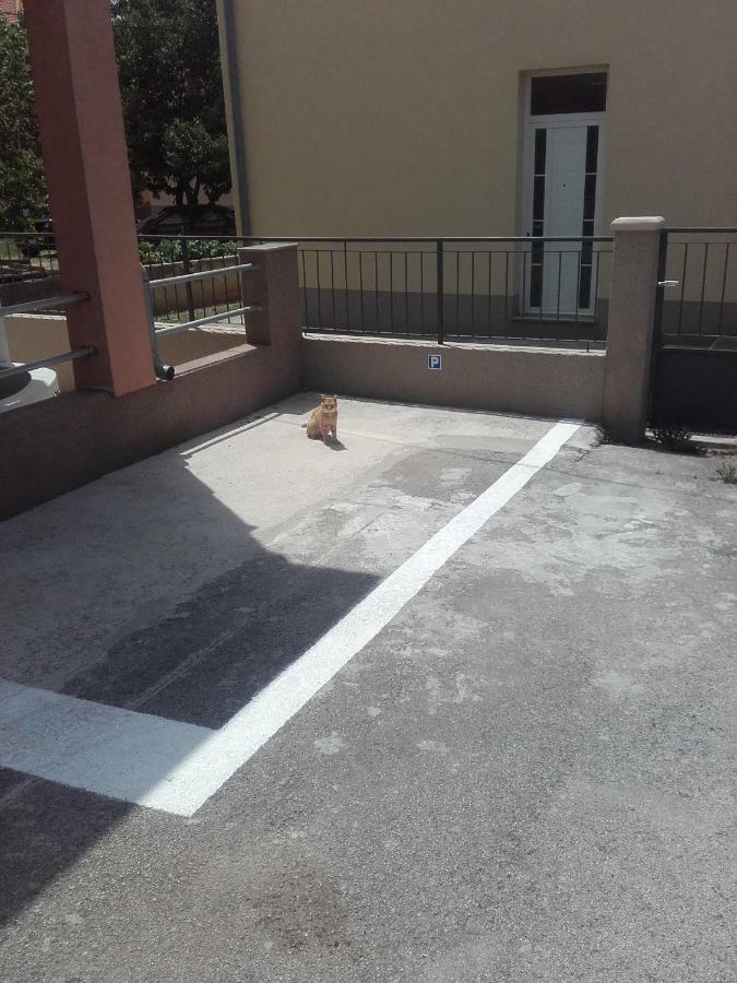 Maremy Apartment Zadar Exterior photo